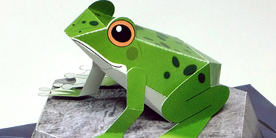 「アサヒの森の動物」各種